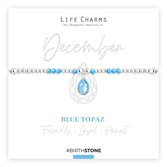 Life Charms Birthstone Bracelet - December - Something Different Gift Shop