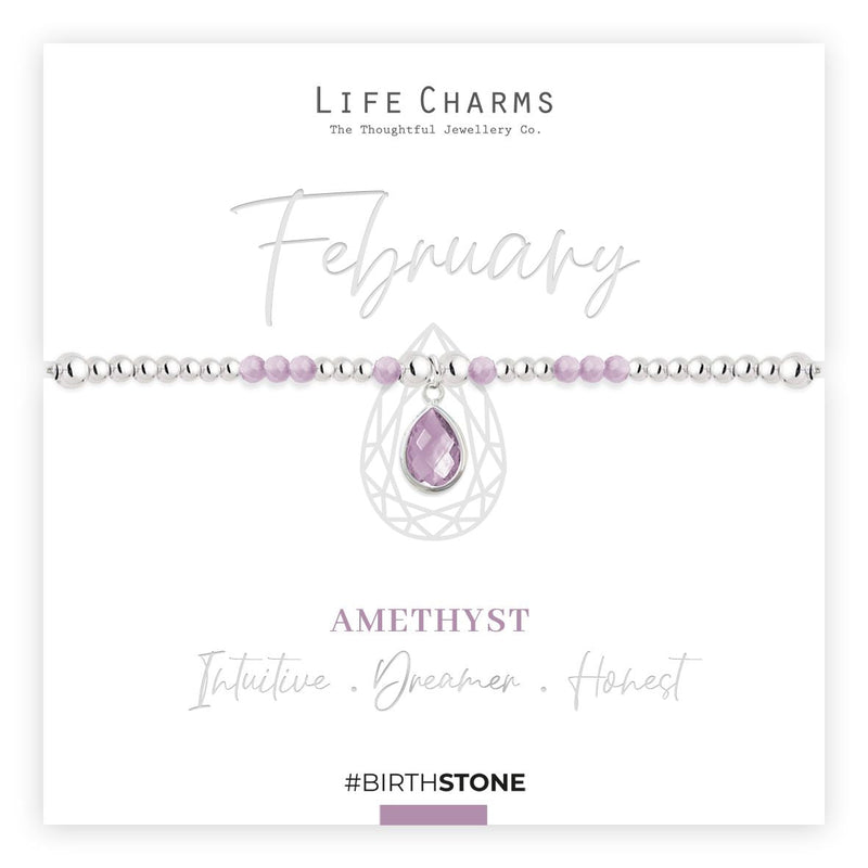 Life Charms Birthstone Bracelet - Feburary - Something Different Gift Shop