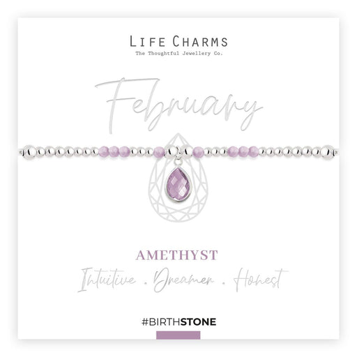 Life Charms Birthstone Bracelet - Feburary - Something Different Gift Shop