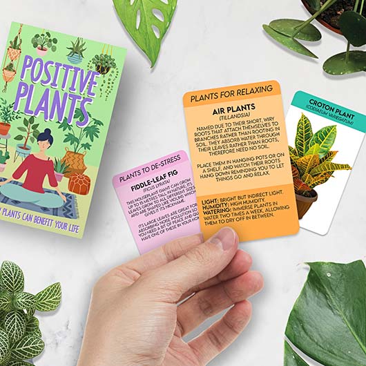 Lifestyle Cards - Positive Plants - Something Different Gift Shop