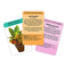 Lifestyle Cards - Positive Plants - Something Different Gift Shop