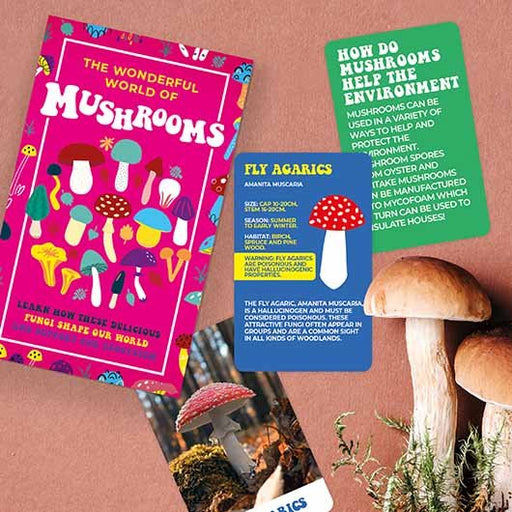 Lifestyle Cards - The Wonderful World of Mushrooms - Something Different Gift Shop