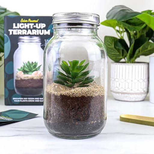 Light-up Terrarium - Something Different Gift Shop
