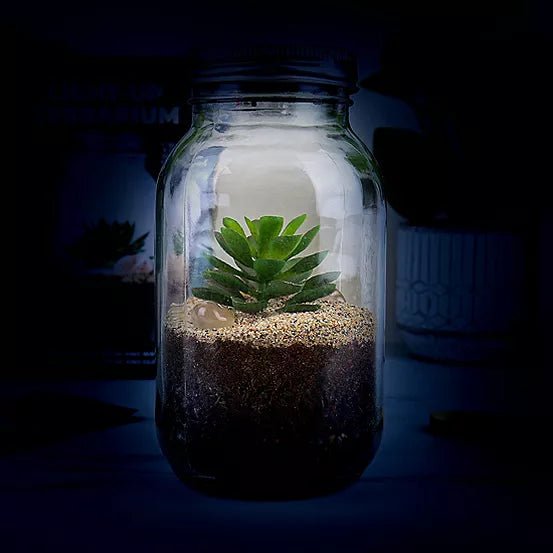 Light-up Terrarium - Something Different Gift Shop