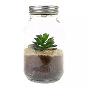 Light-up Terrarium - Something Different Gift Shop
