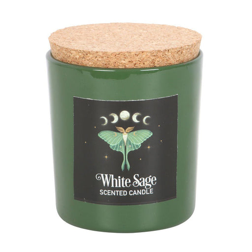 Luna Moth White Sage Candle - Something Different Gift Shop
