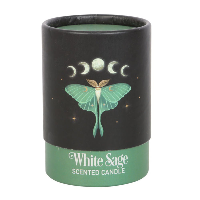 Luna Moth White Sage Candle - Something Different Gift Shop