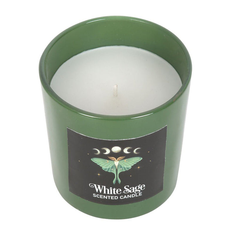 Luna Moth White Sage Candle - Something Different Gift Shop