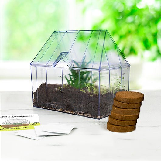 Mini Greenhouse Grow Kit - Something Different Gift Shop
