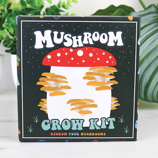 Mushroom Grow Kit - Something Different Gift Shop