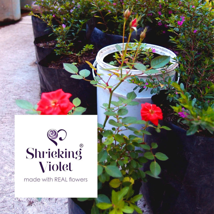 Shrieking Violet Leela Style Pendant - Rose Mixed - Something Different Gift Shop