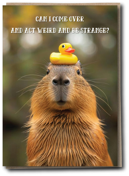 Silly Sausage Cards - Act Weird - Something Different Gift Shop