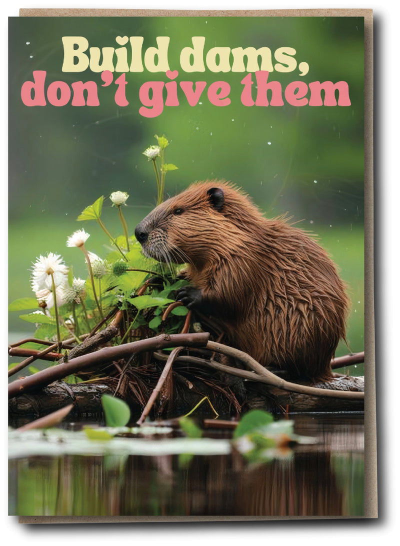 Silly Sausage Cards - Build Dams - Something Different Gift Shop