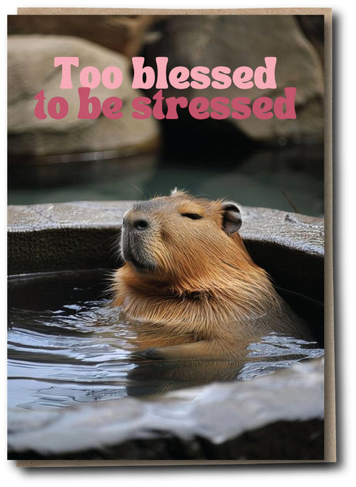 Silly Sausage Cards - Too Blessed - Something Different Gift Shop