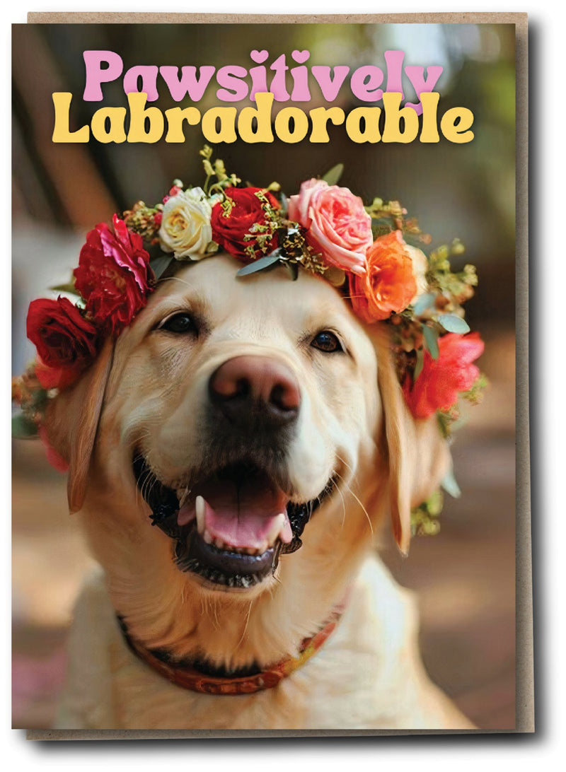 Silly Sausage - Labradorable - Something Different Gift Shop