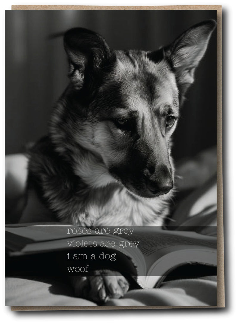 Silly Sausage - Woof - Something Different Gift Shop