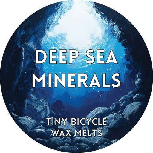 Tiny Bicycle Deep Sea Minerals Segment Wax Melt - Something Different Gift Shop