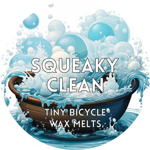 Tiny Bicycle Squeaky Clean Segment Wax Melt - Something Different Gift Shop
