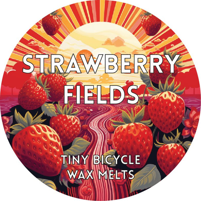 Tiny Bicycle Strawberry Fields Segment Wax Melt - Something Different Gift Shop