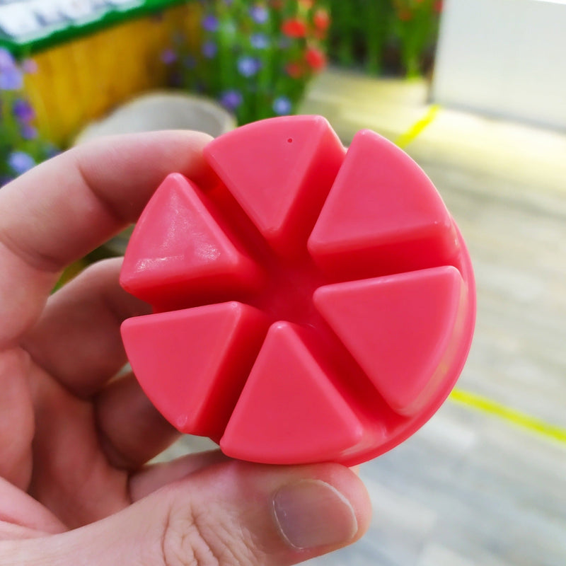 Tiny Bicycle Sweet Summer Berries Segment Wax Melt - Something Different Gift Shop