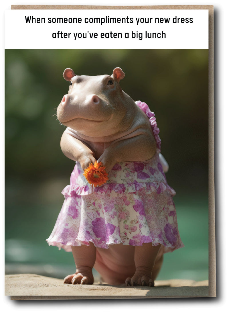 Wild Lives - Big Lunch - Something Different Gift Shop