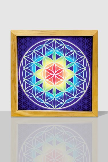 Wild Things Light Frames - Flower Of Life - Something Different Gift Shop
